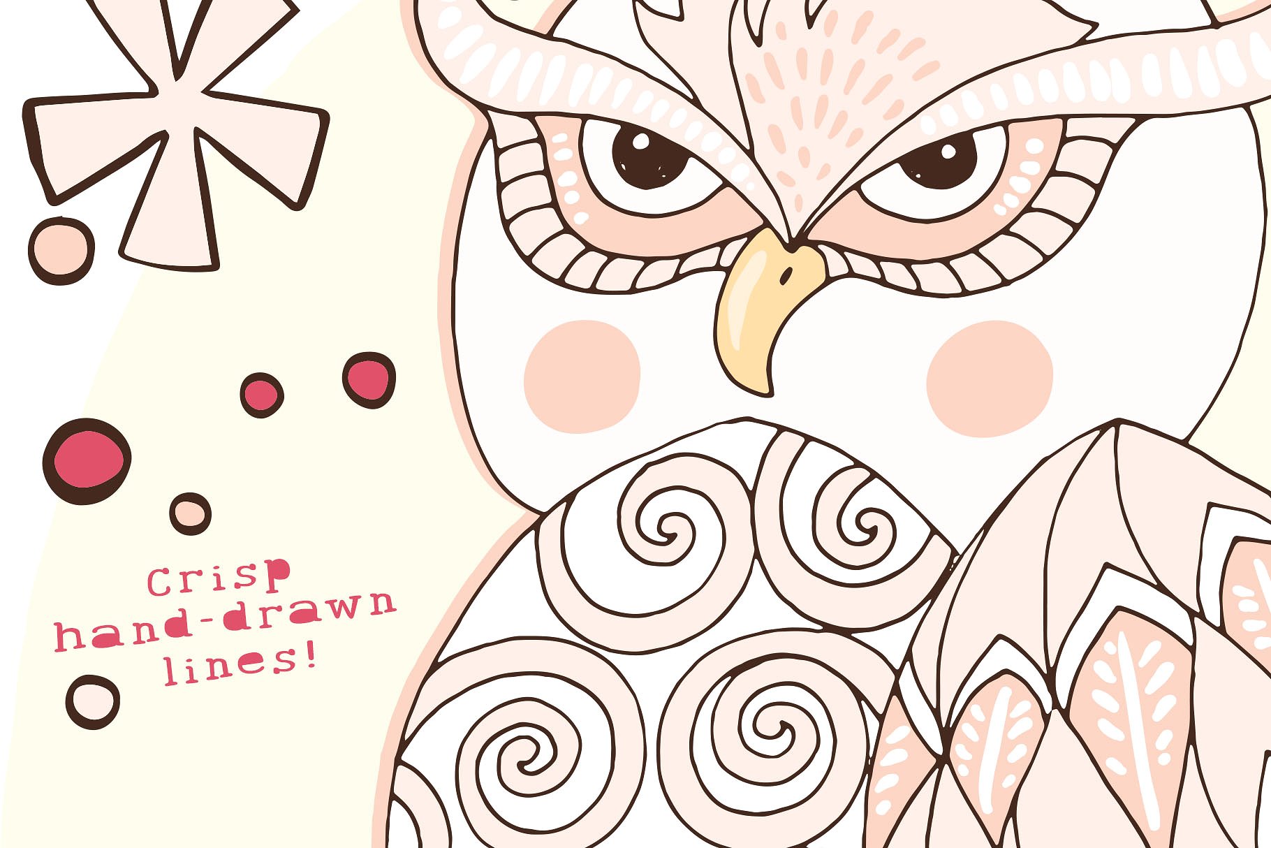 Cute Owl Graphics Set