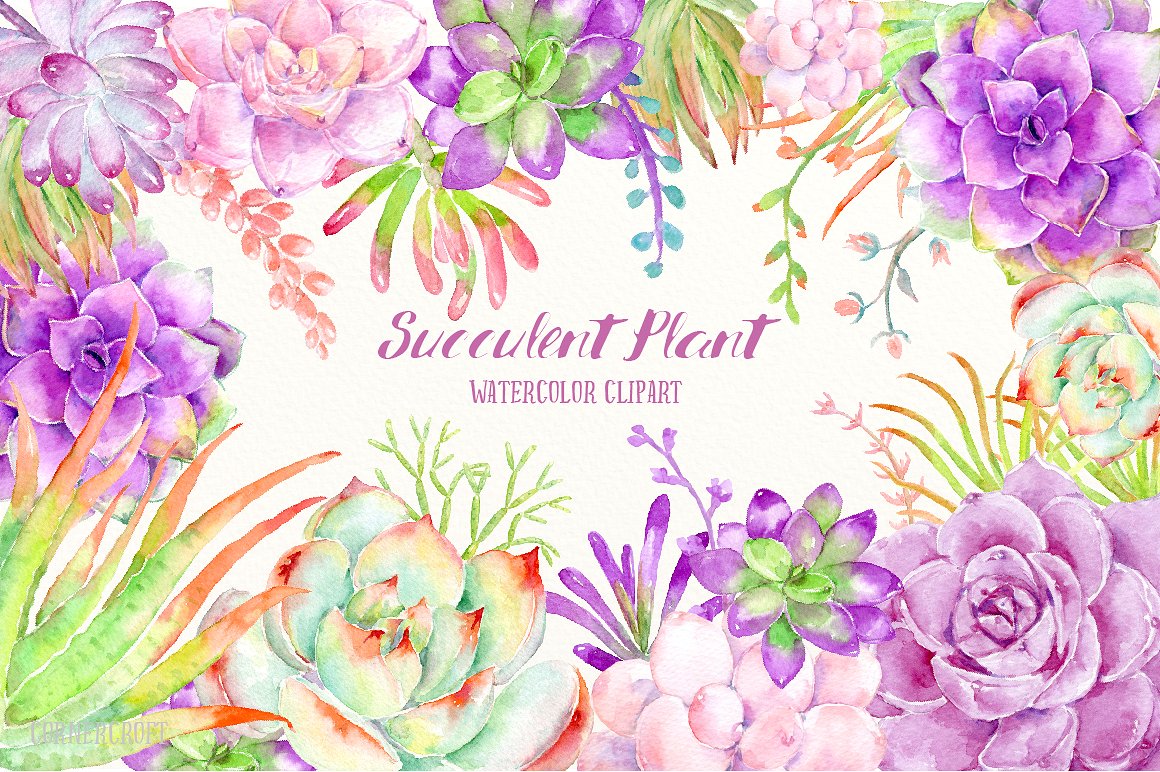 Watercolor Succulent Plant