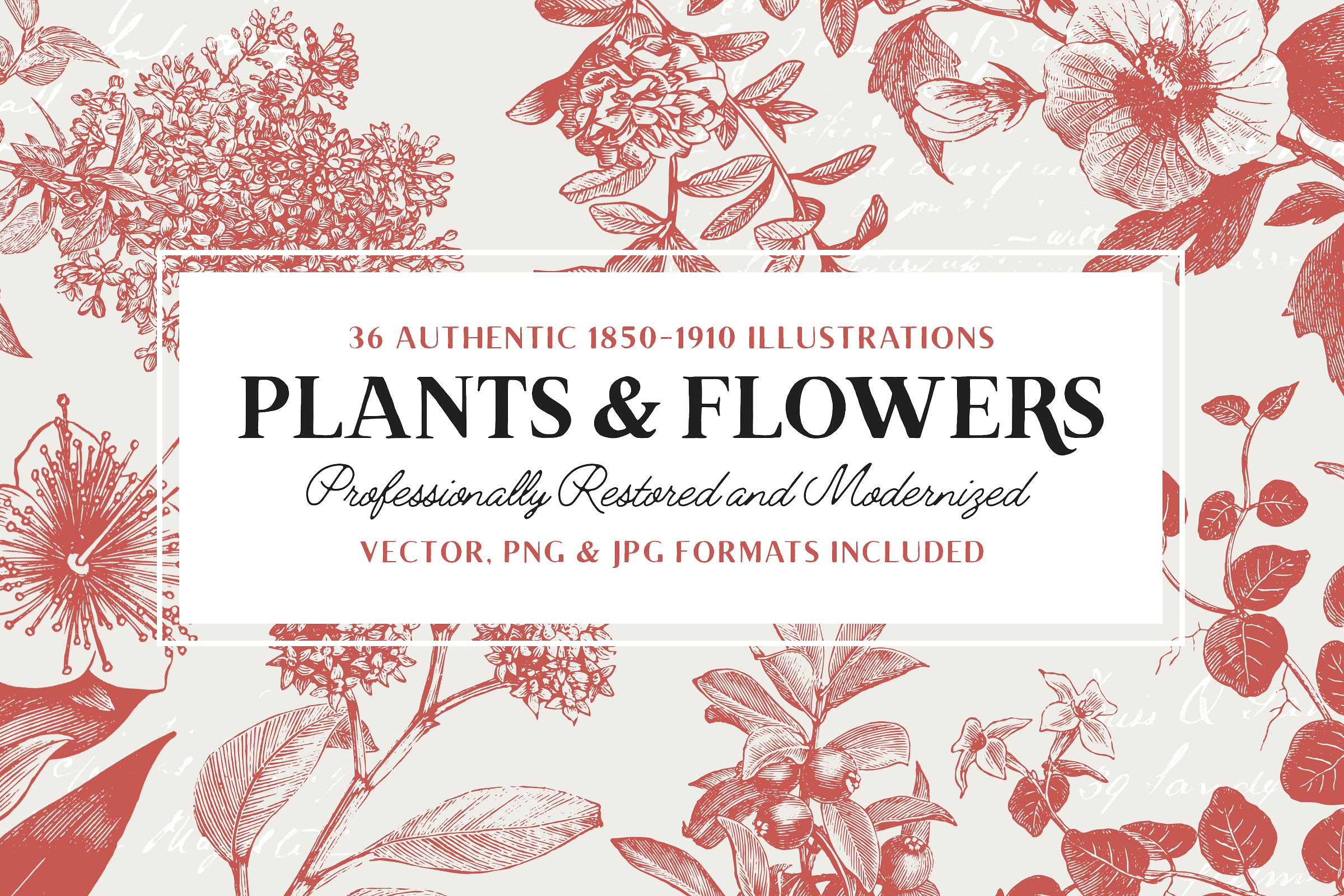 36 Plant -amp; Flower Illustra