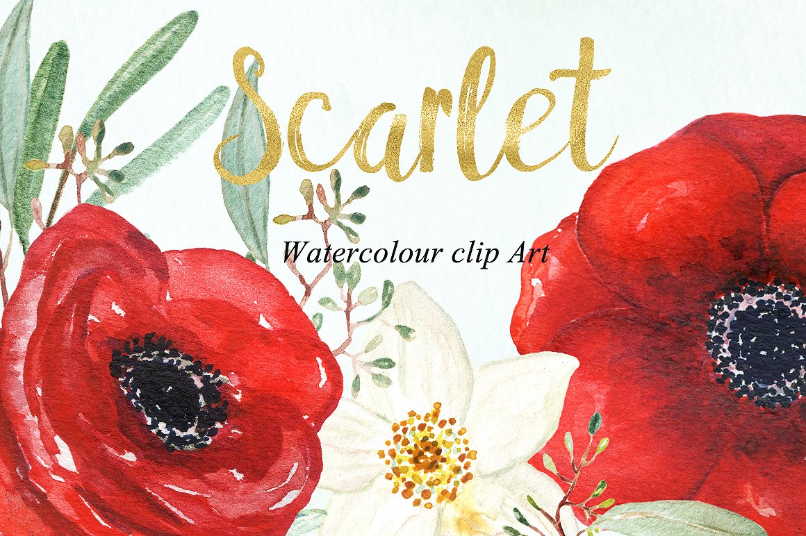 Anemones scarlet Watercolour c