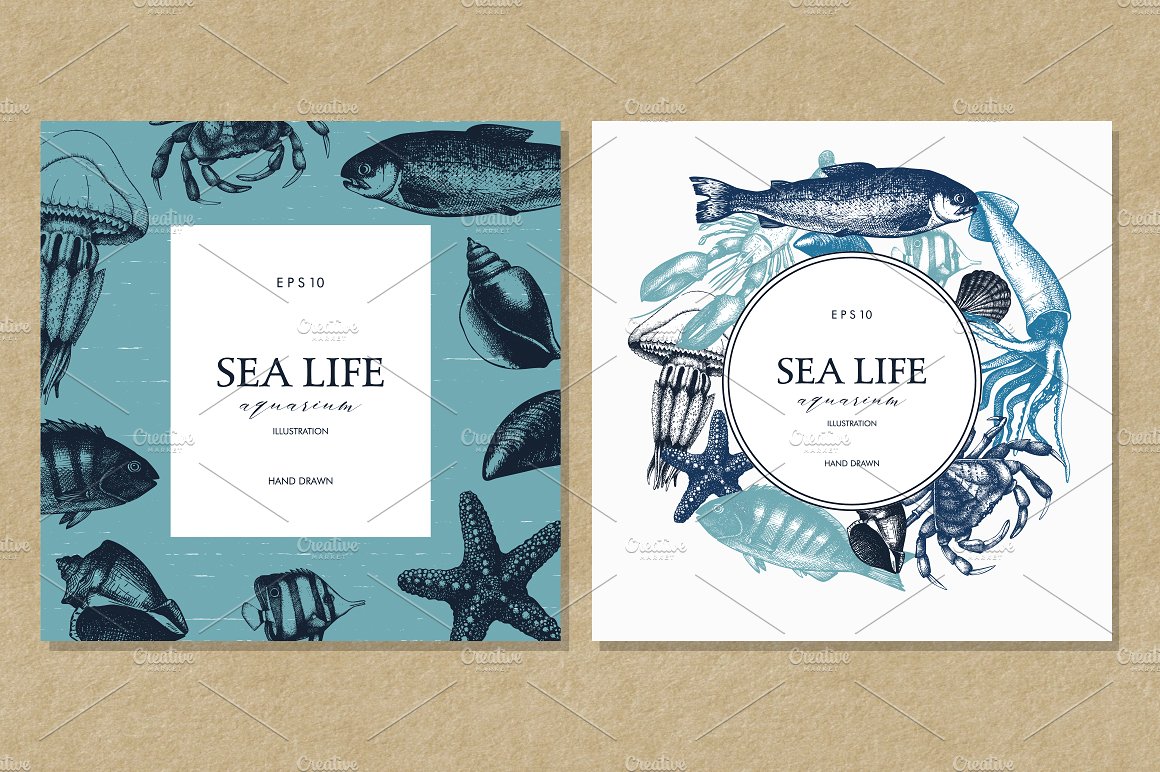 Vector Sea Life Illustrations