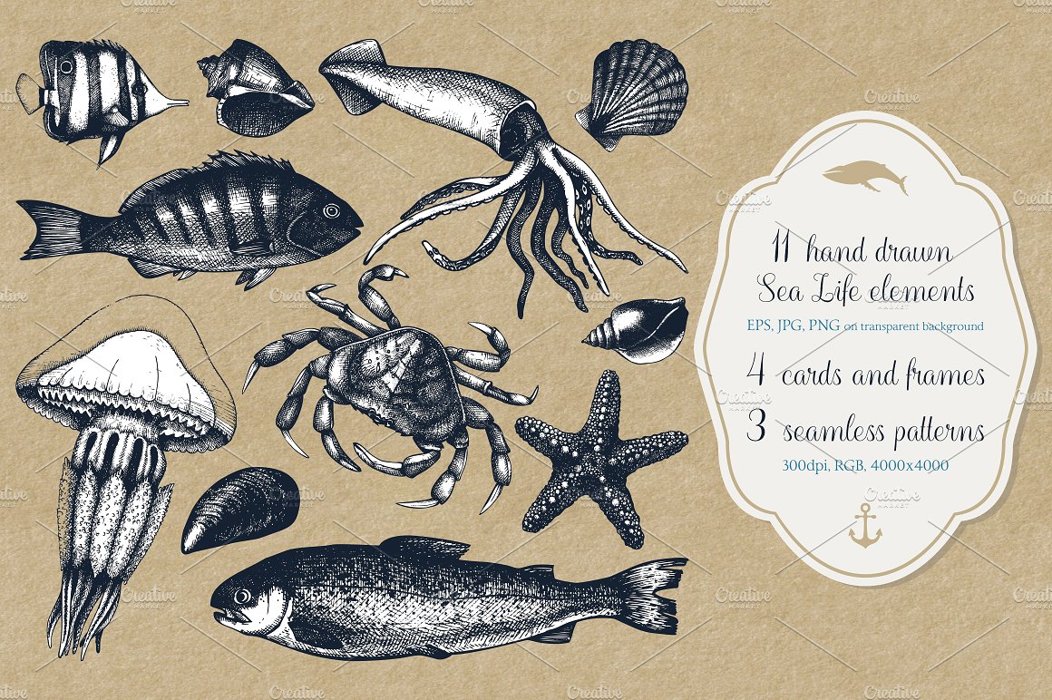 Vector Sea Life Illustrations