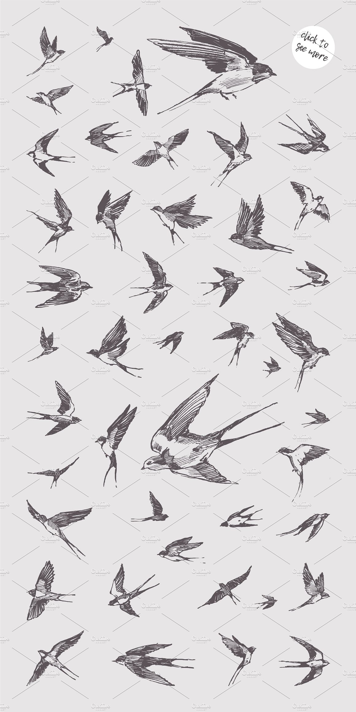 Sketches of flying swallows