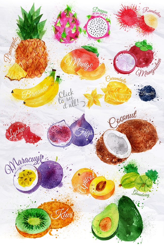 Fruit Watercolor