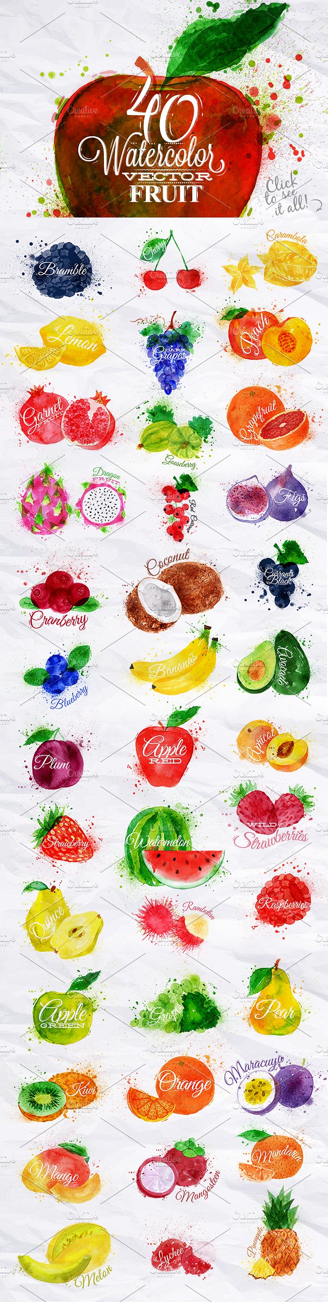 Fruit Watercolor