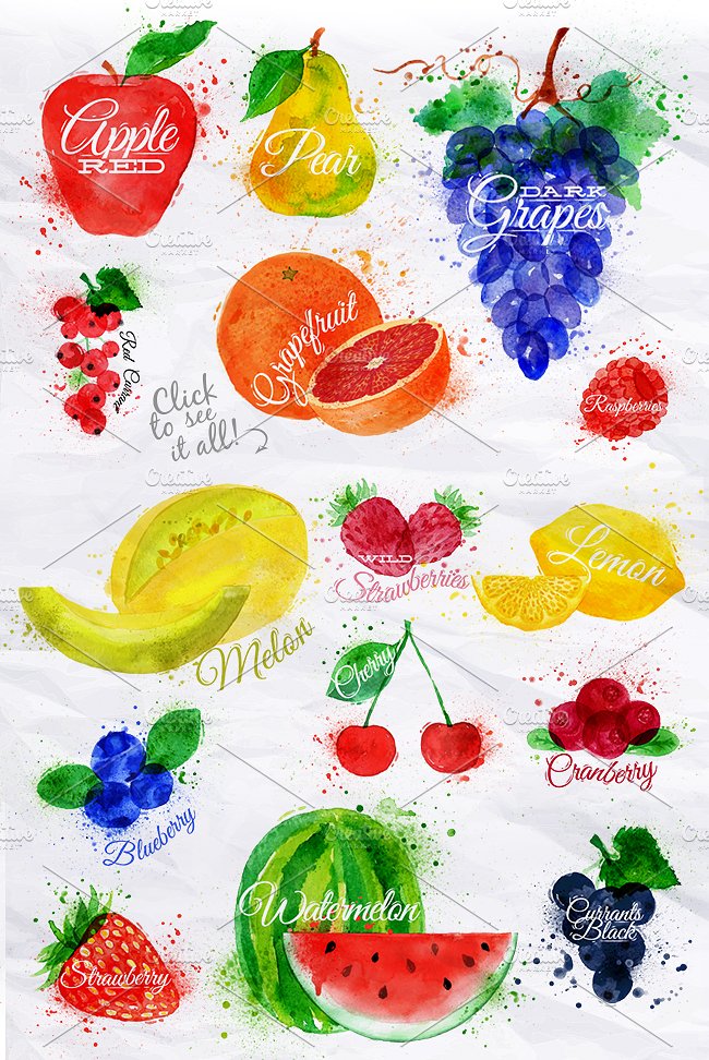 Fruit Watercolor