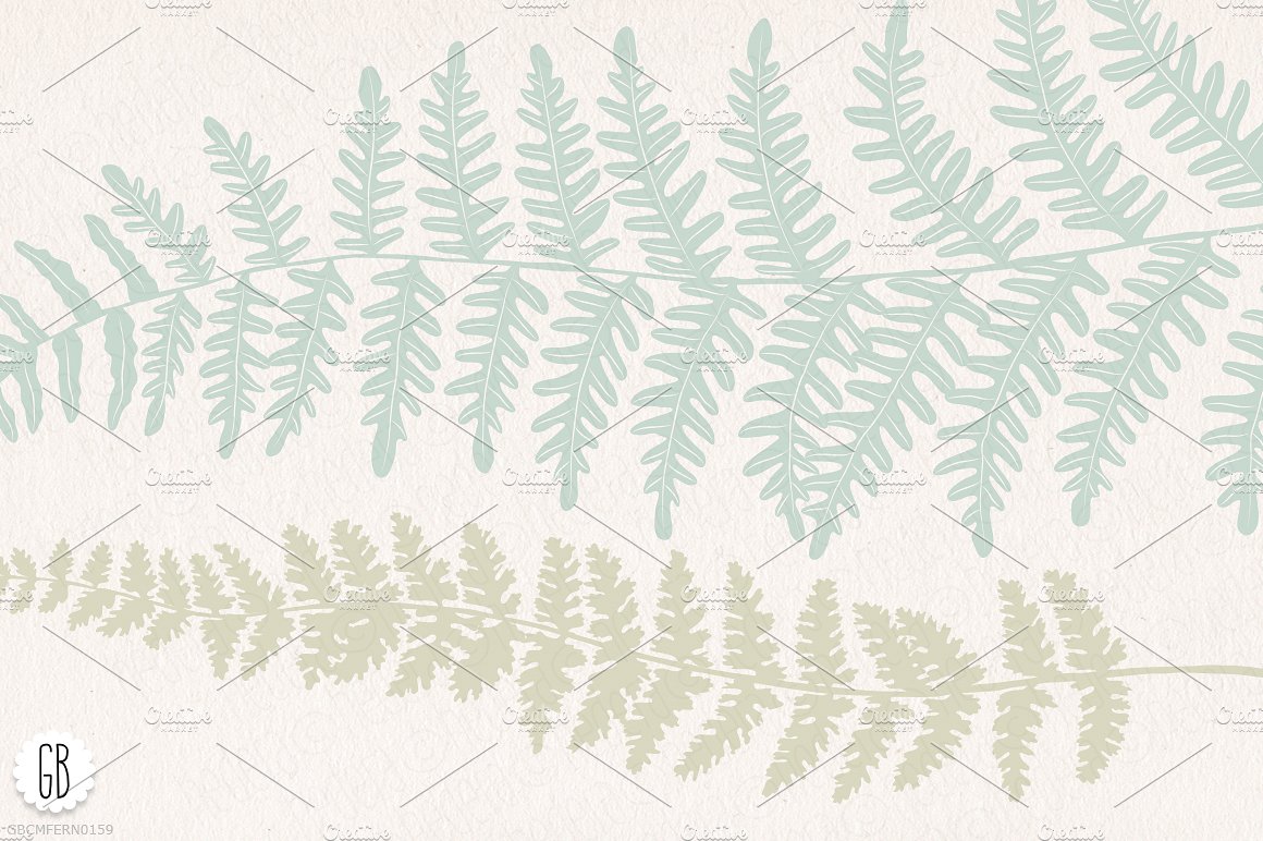 Fern, botanical vector graphic