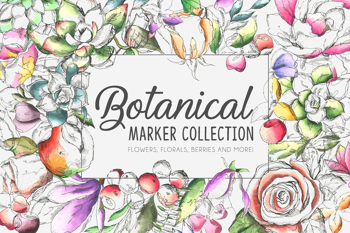 Botanical Marker Collection Pr