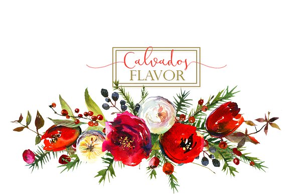 Red Winter Flowers Clipart Set