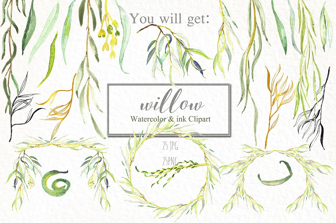 Willow branches watercolor cli