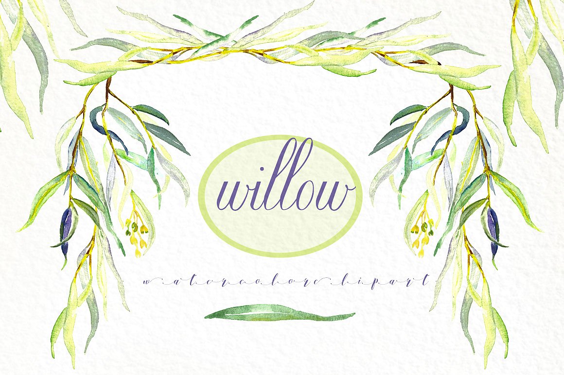 Willow branches watercolor cli