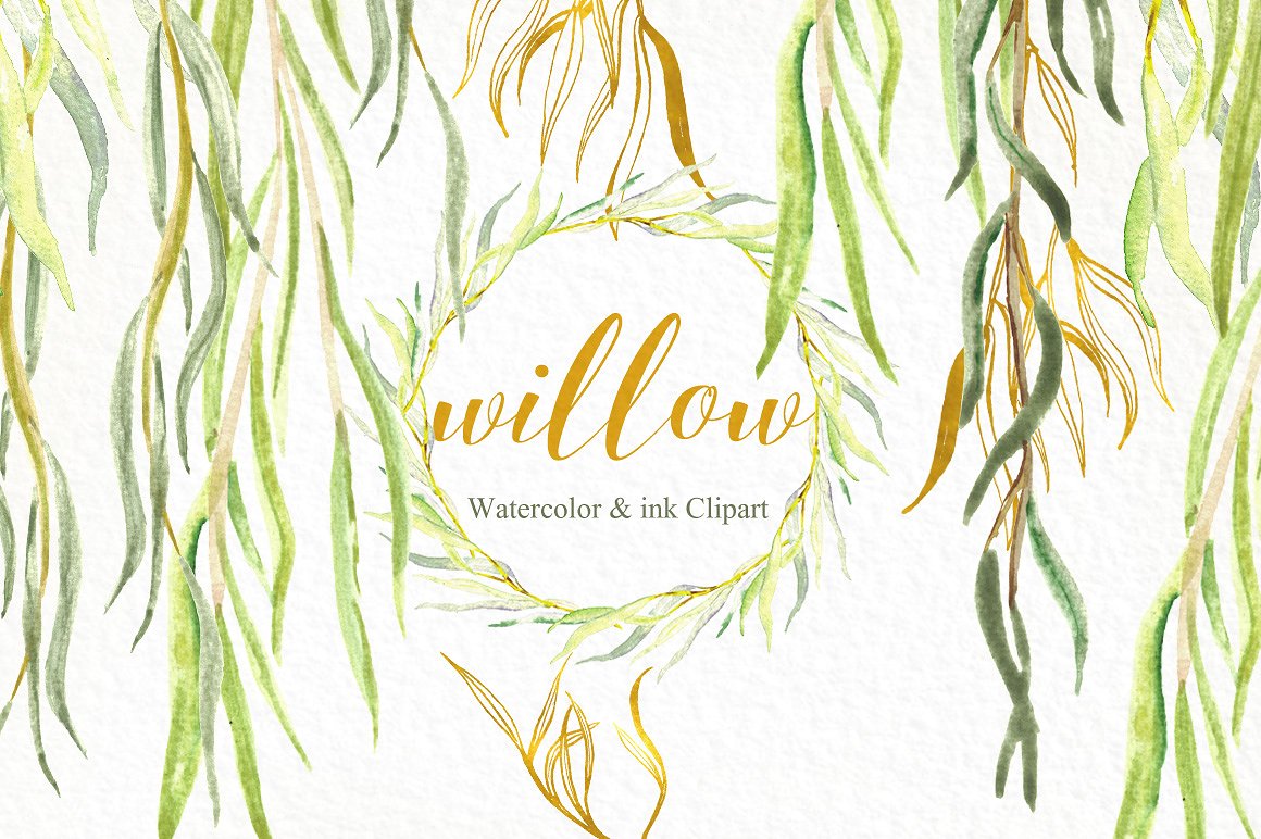 Willow branches watercolor cli