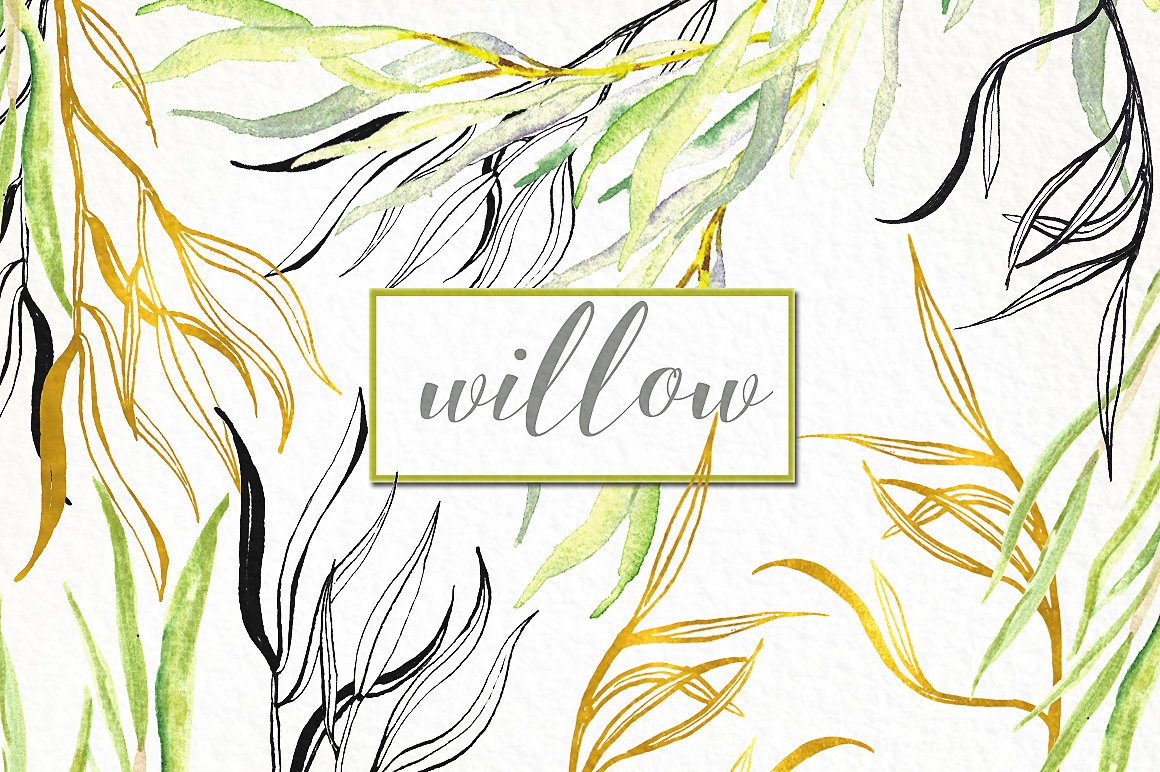 Willow branches watercolor cli