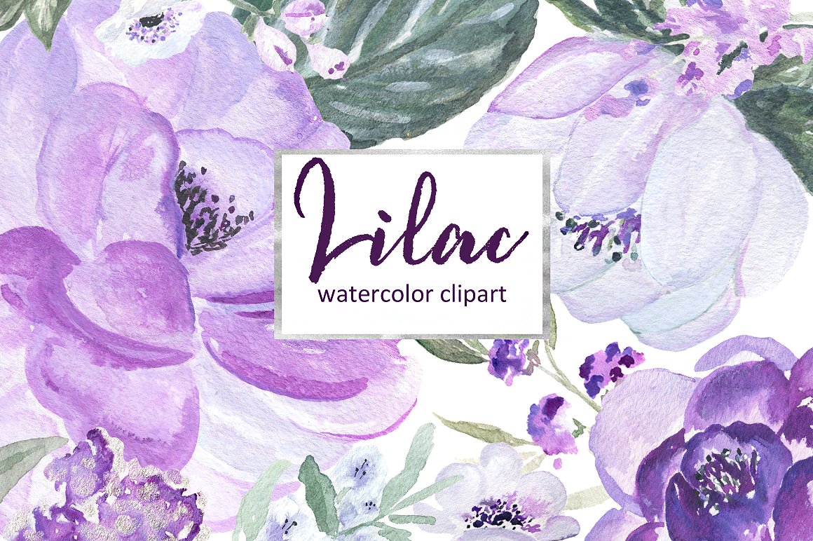 Lilac Soft purple watercolor c