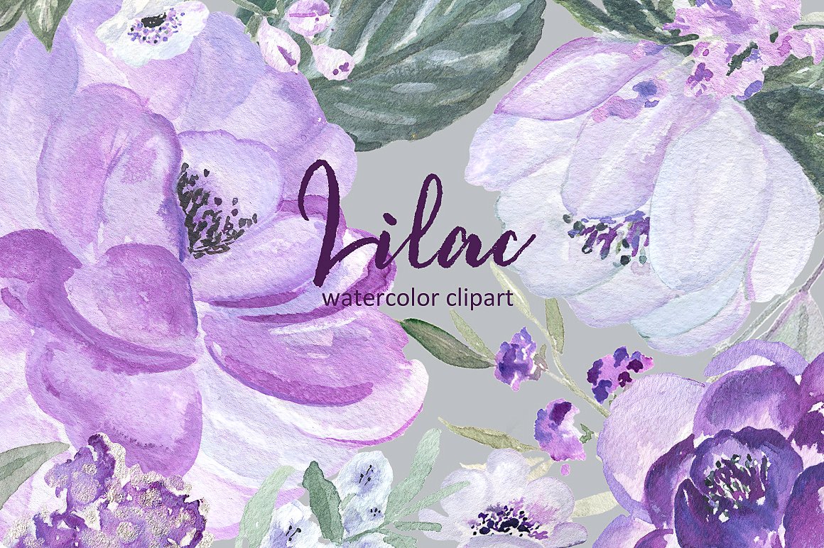 Lilac Soft purple watercolor c