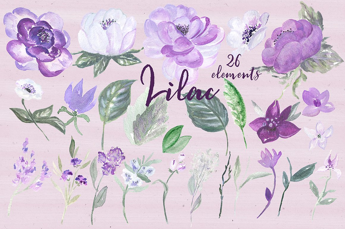 Lilac Soft purple watercolor c