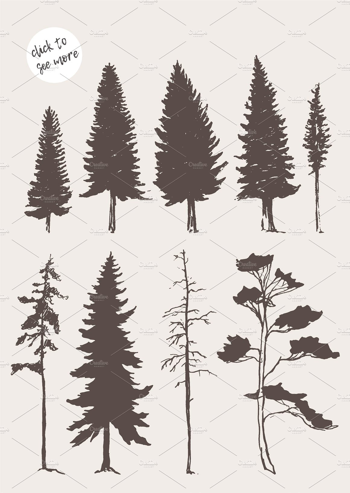 Silhouettes of pine and fir tr