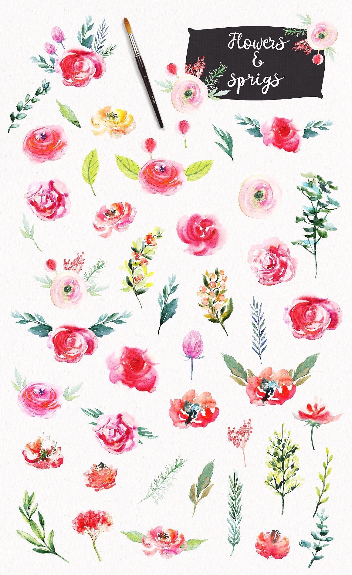 Watercolor Bright Flowers