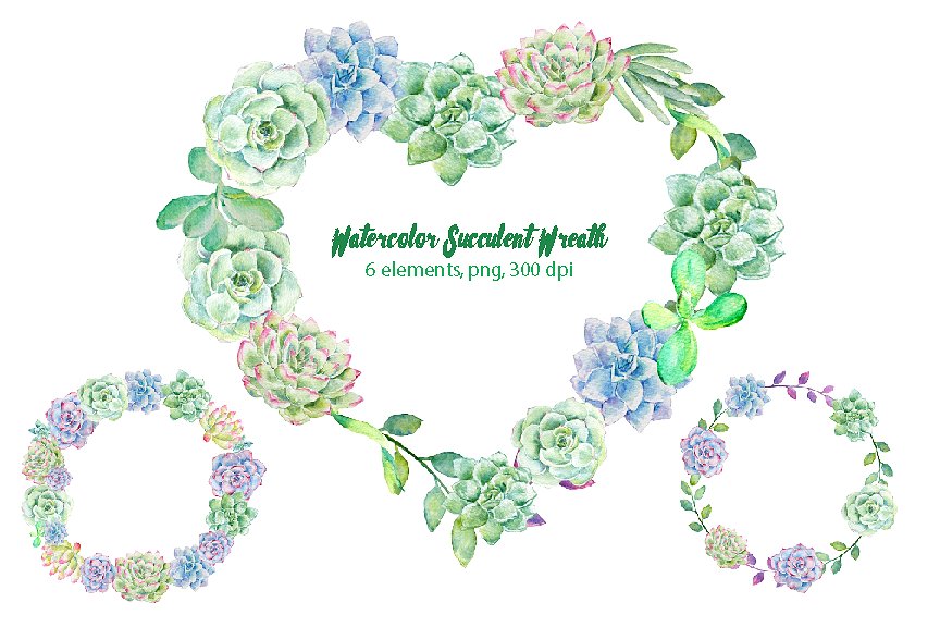 Watercolor Succulent Wreaths