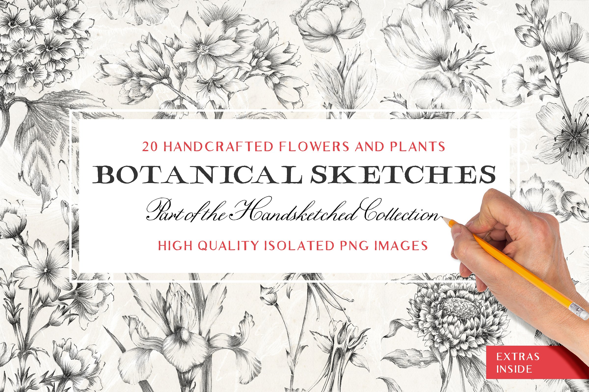 20 Sketched Flower Illustratio