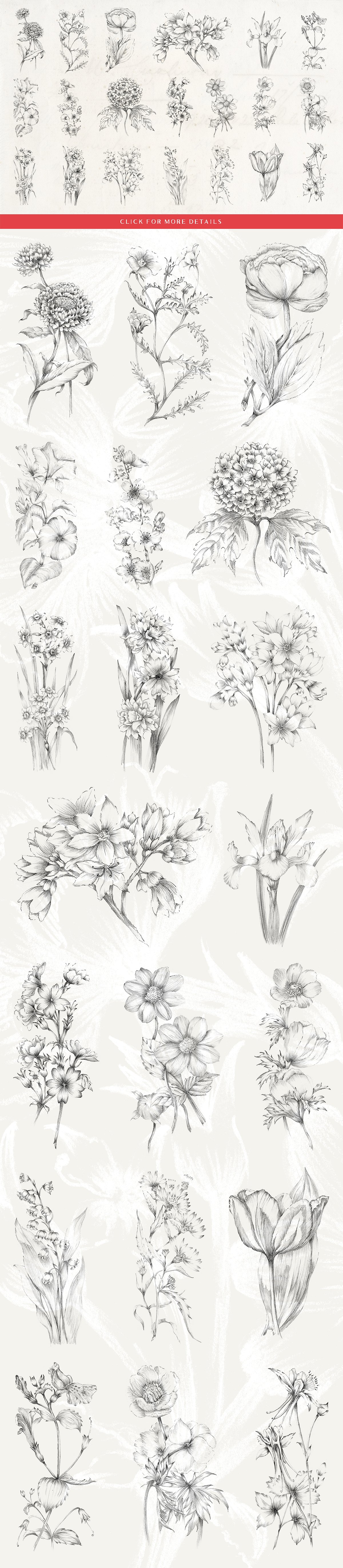 20 Sketched Flower Illustratio