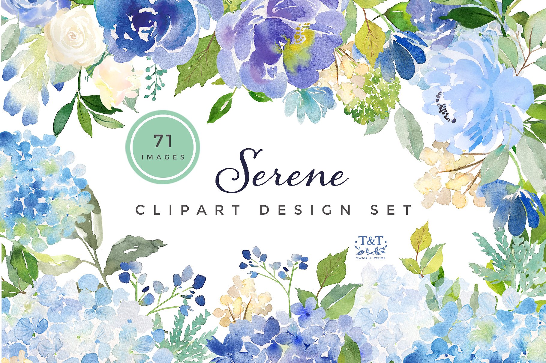 蓝色绣球花/牡丹和玫瑰的花卉组合水彩剪贴画矢量素材 Sere