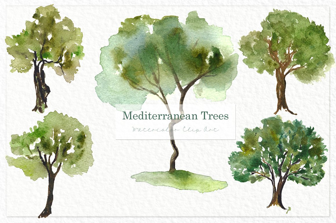 手绘水彩森林树木设计素材Trees olives medit