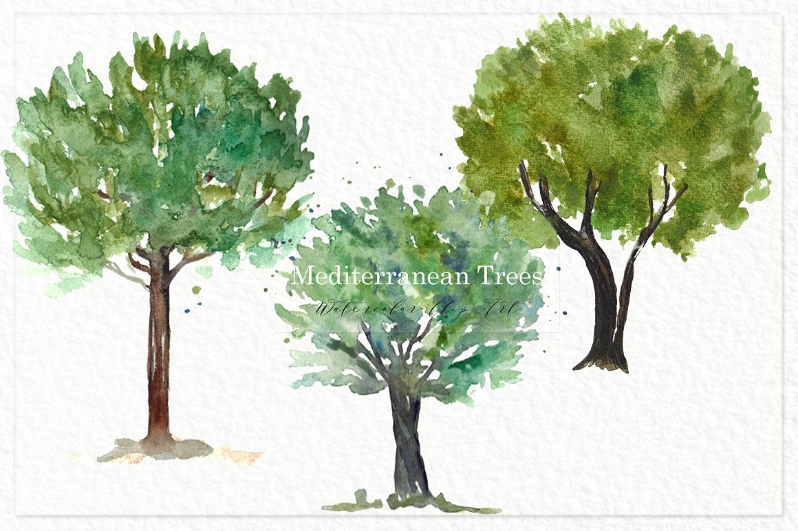 手绘水彩森林树木设计素材Trees olives medit
