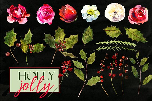 圣诞节手绘风格鲜花花环装饰Holly Steams Chri