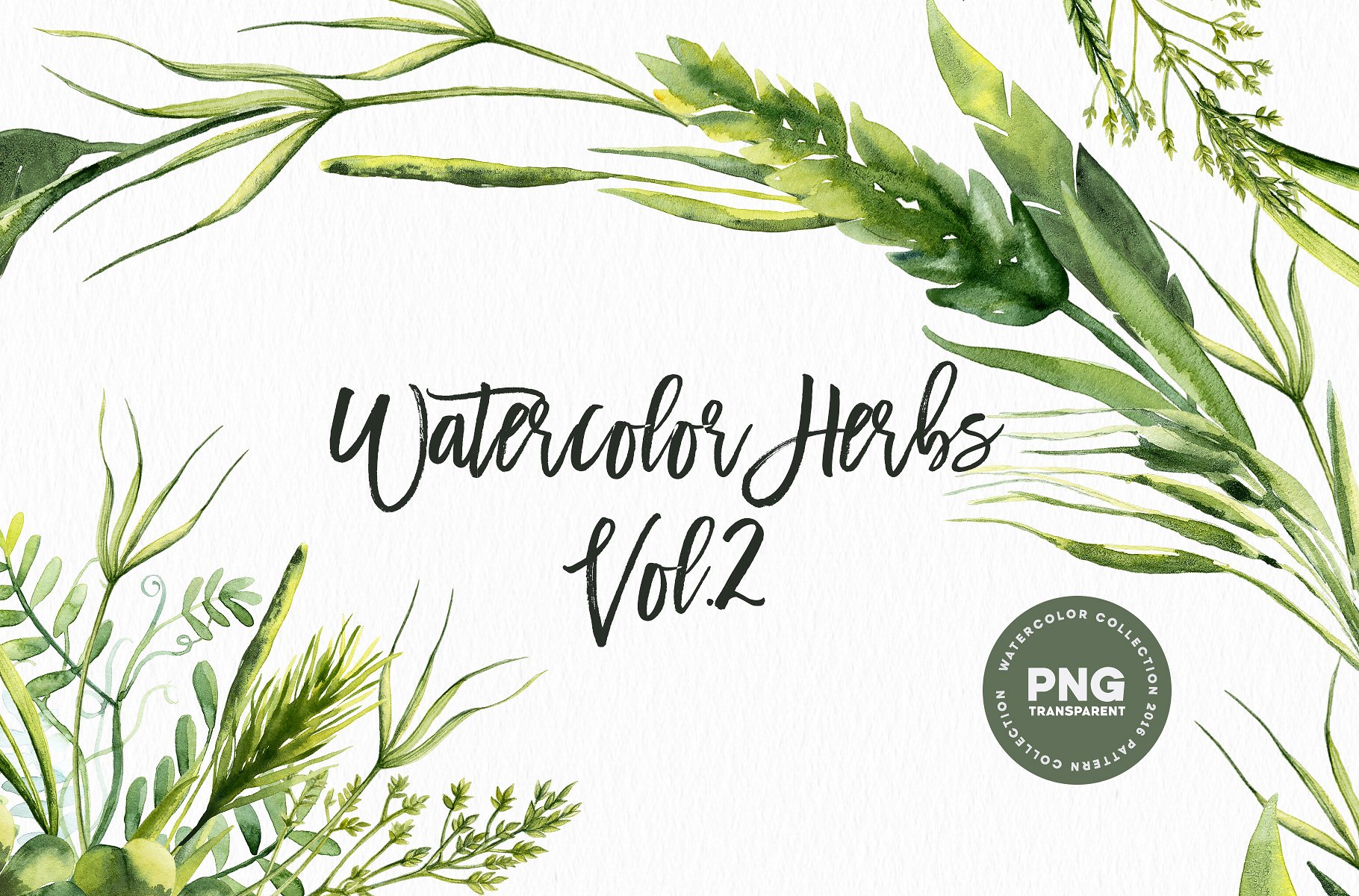 手绘水彩绿色植物设计素材Watercolor Herbs V