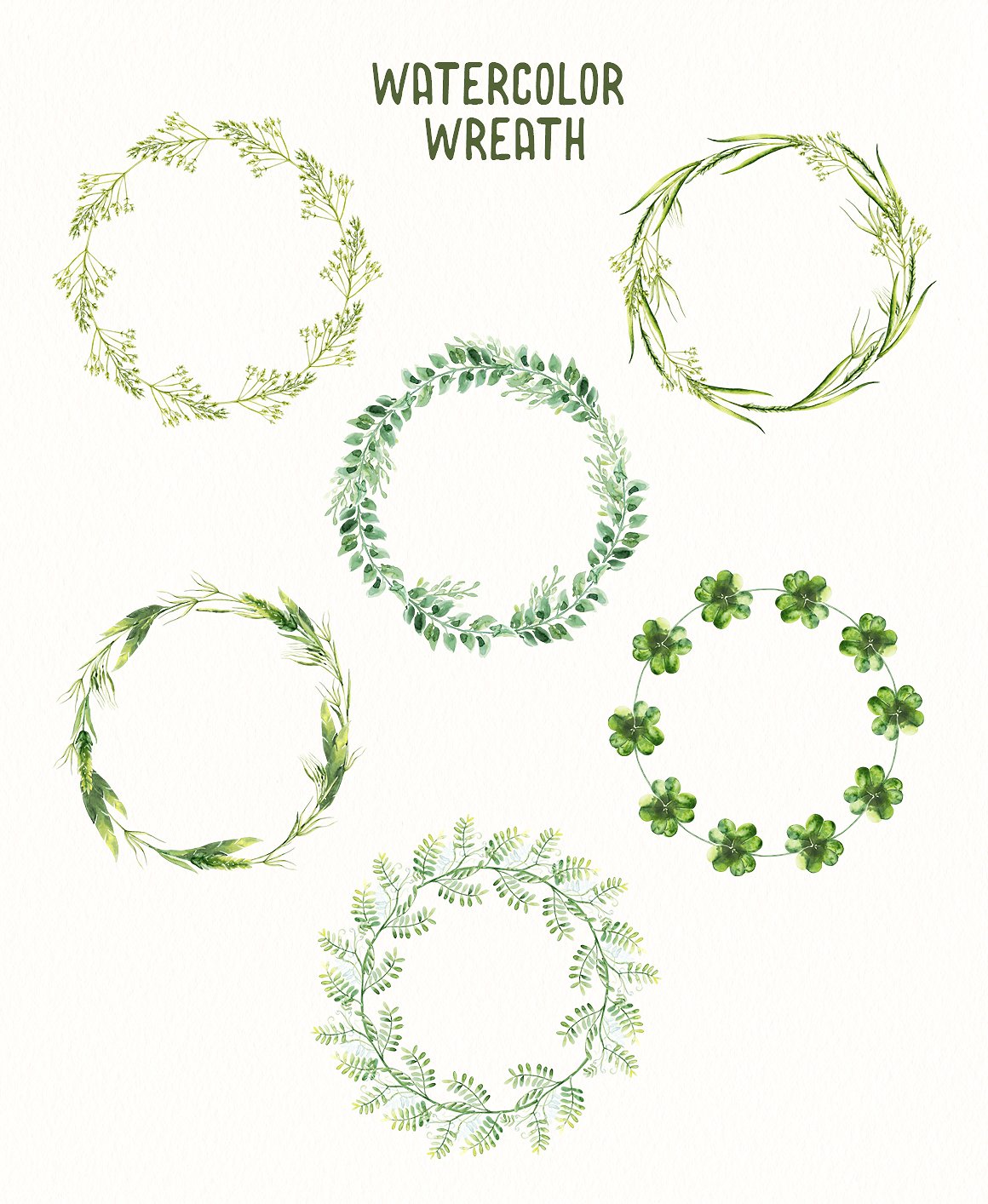 手绘水彩绿色植物设计素材Watercolor Herbs V