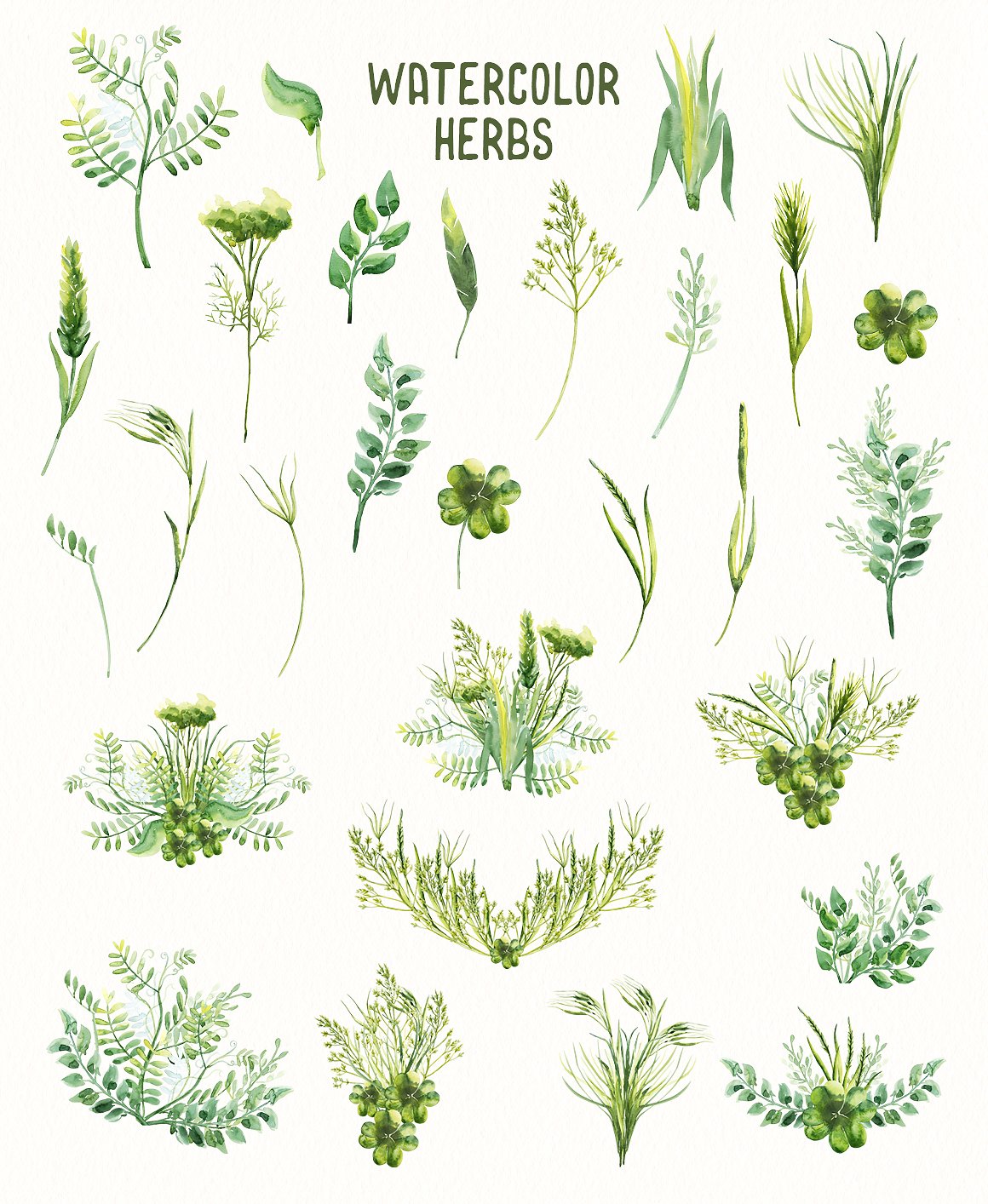 手绘水彩绿色植物设计素材Watercolor Herbs V