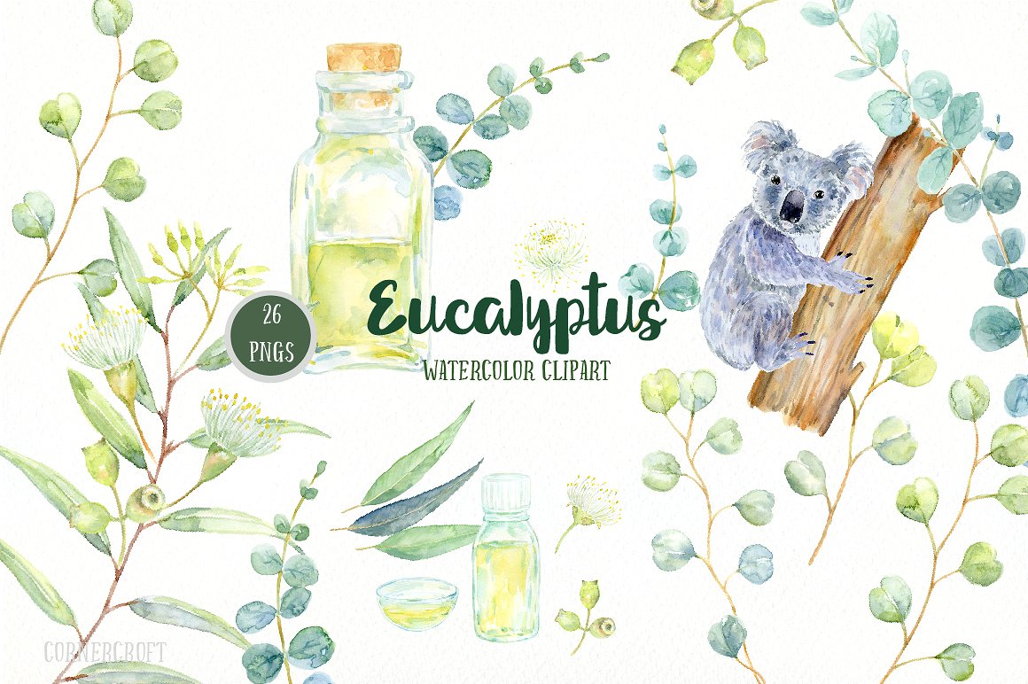 手绘水彩花卉设计元素Watercolor Eucalyptu