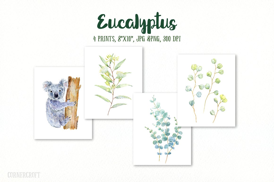 手绘水彩花卉设计元素Watercolor Eucalyptu