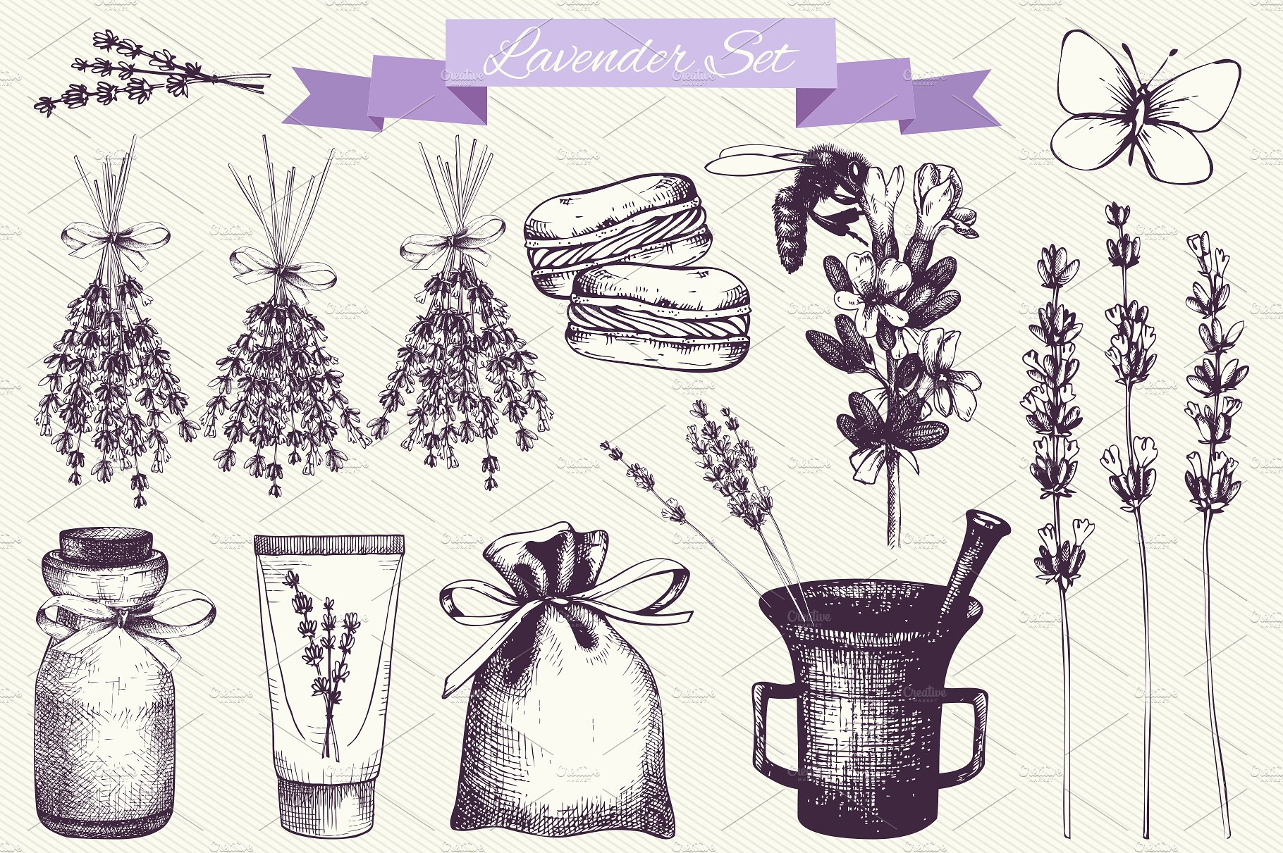 Vector Lavender Designs Set