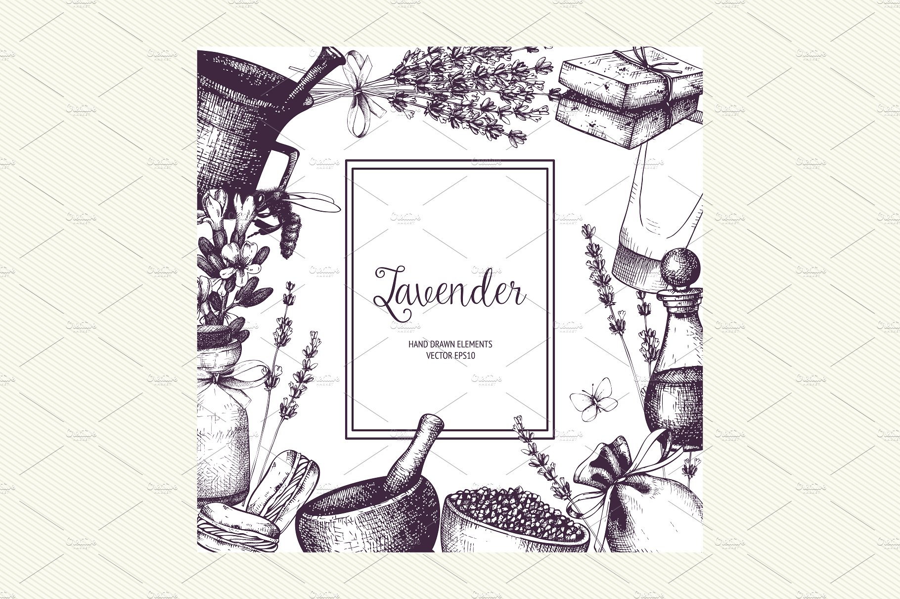 Vector Lavender Designs Set