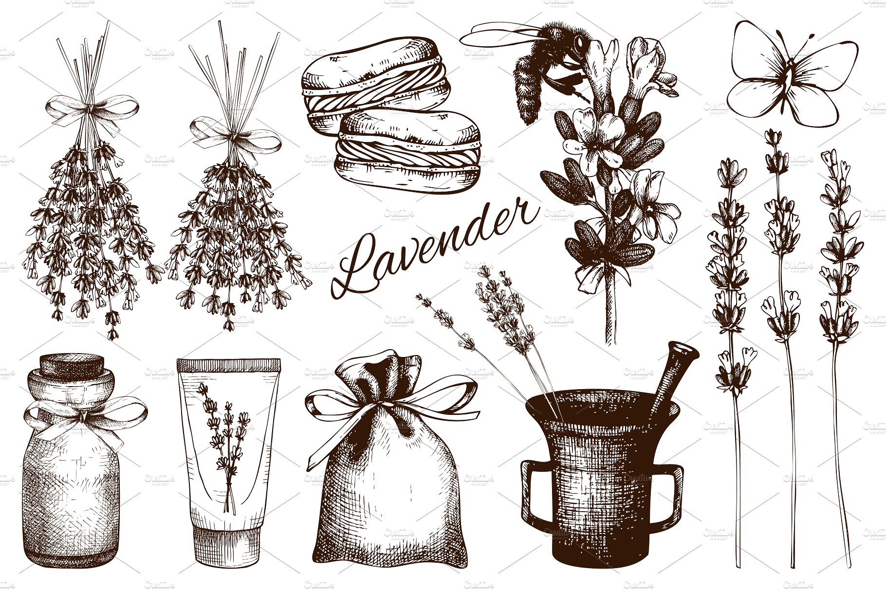 Vector Lavender Designs Set