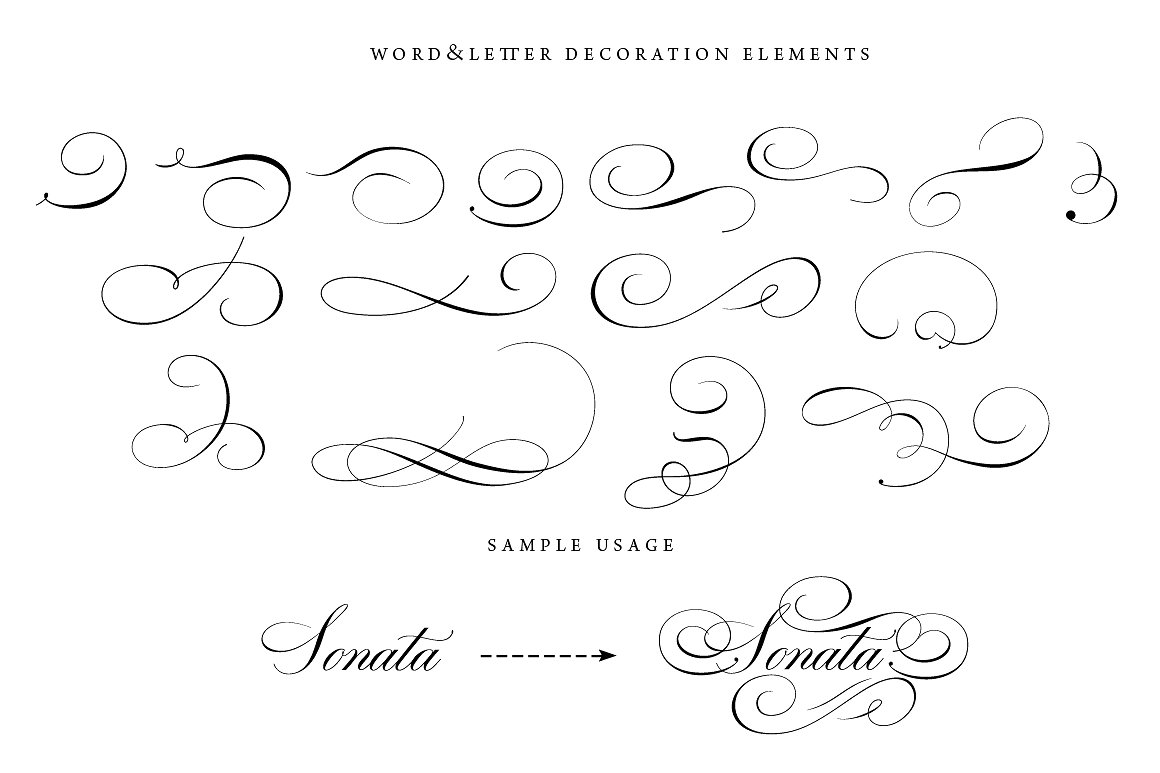 43 Calligraphic Flourishes Bun