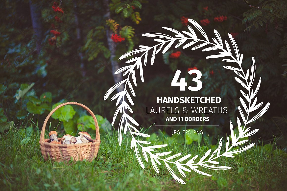 43 Handsketched Laurels -amp;