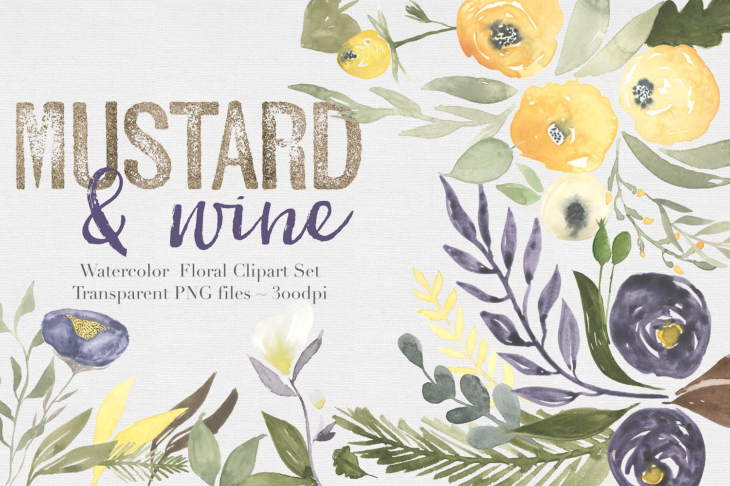 手绘水彩花卉植物设计元素Mustard & wine