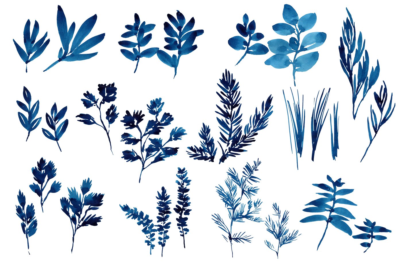 Watercolor Herbs, leaves