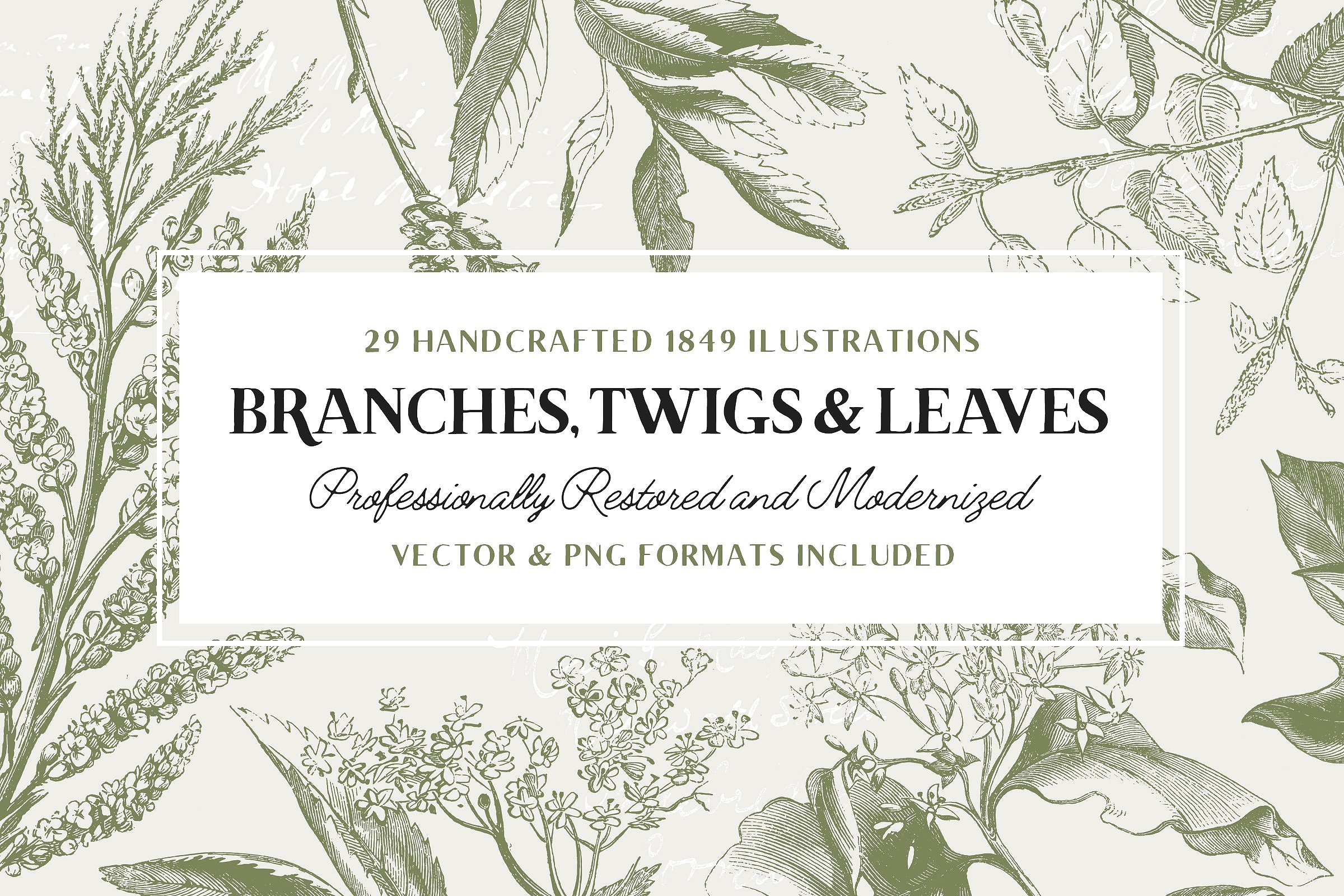 29 Branches, Twigs -amp; Leave