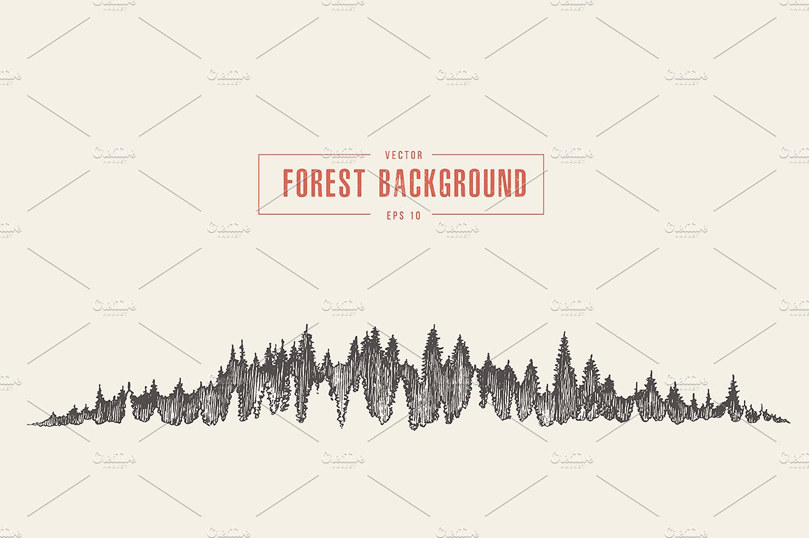 Pine forest background