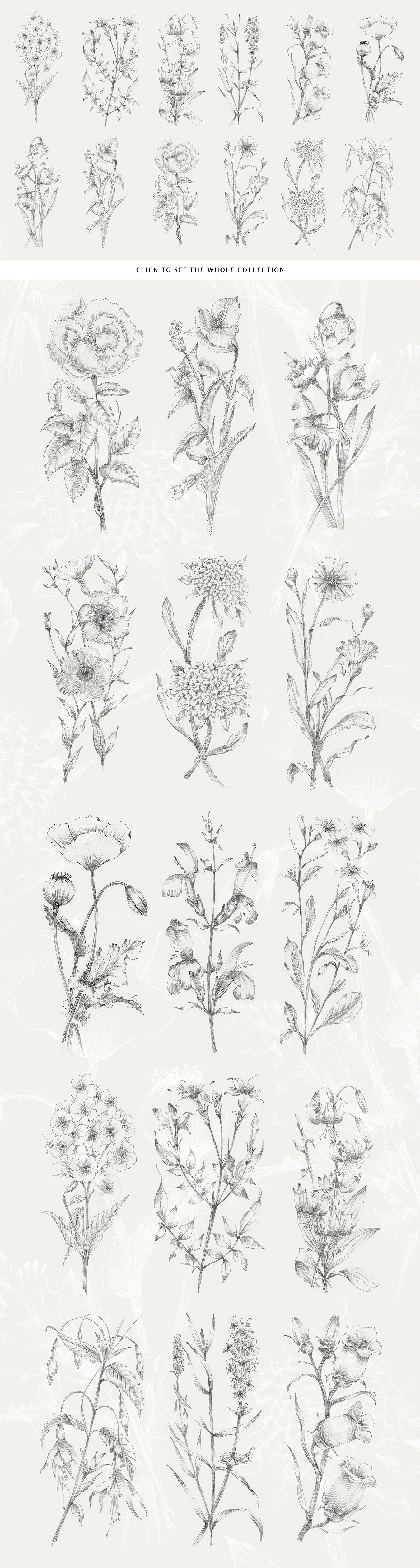 15 Handcrafted Flower Illustra