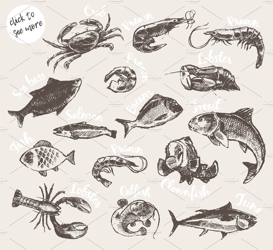 Set of hand drawn seafood and