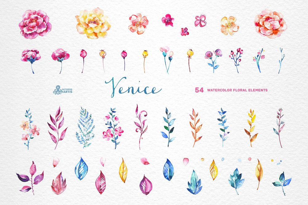 Venice. Watercolor floral coll