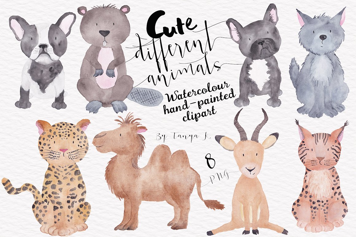 Cute Different Animals Set