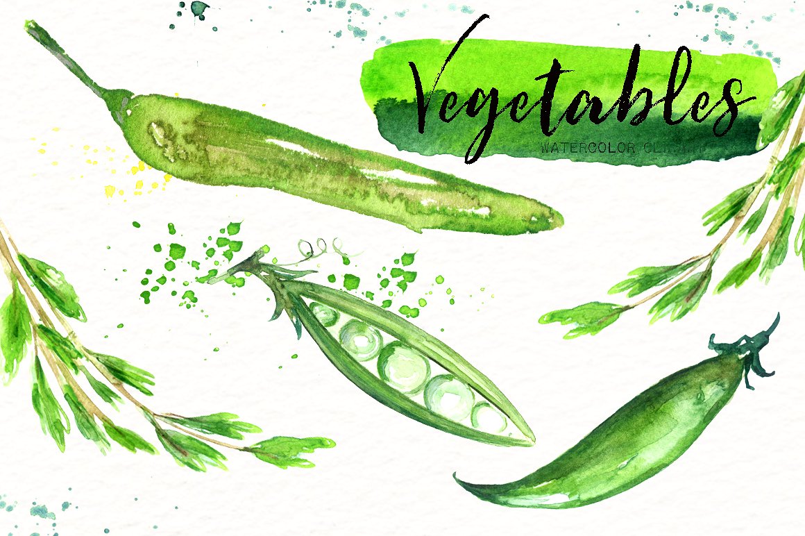 Vegetables. Vegan Watercolor c