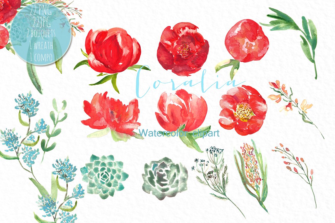 Coral Peonies -amp; blue mint