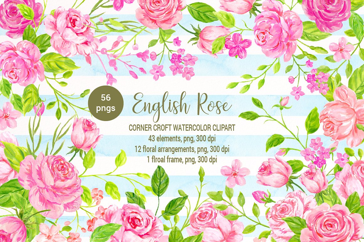 Watercolor English Rose Clipar